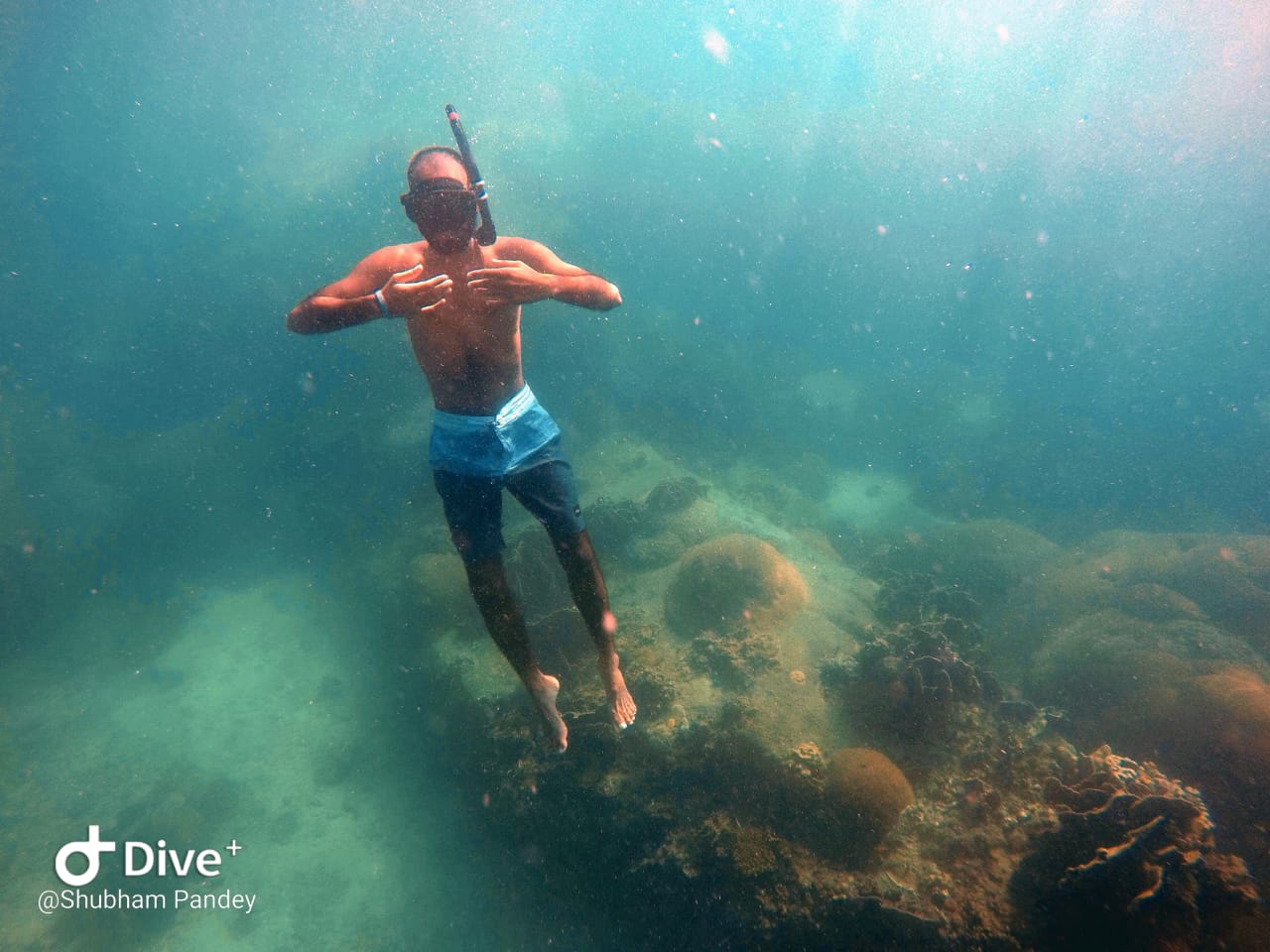 Meet Our New In-House Free Diving Instructor