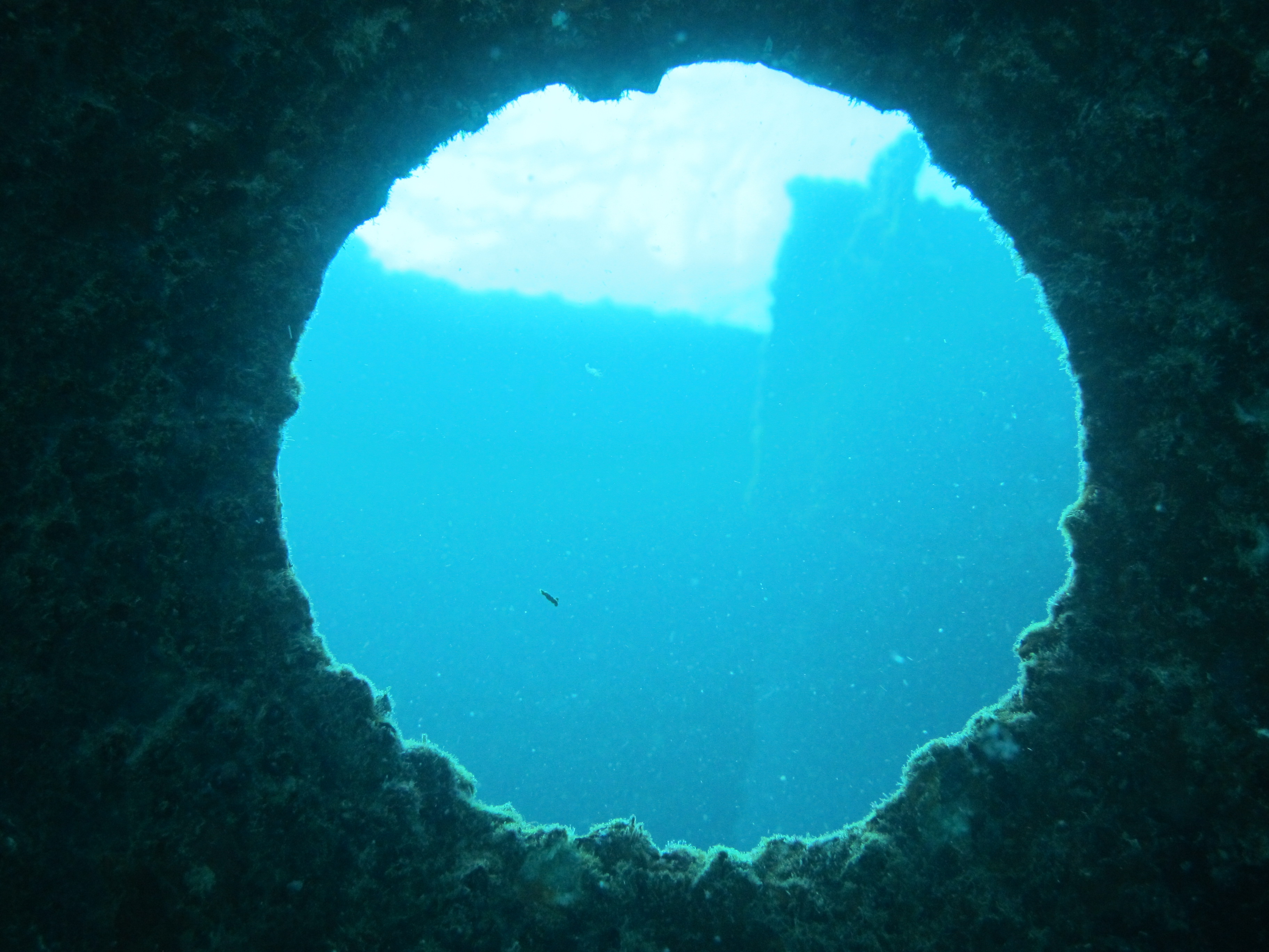 Dive at Premium Dive Sites with ScubaLov in Havelock Island