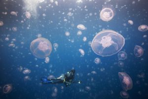 Mimansa's Diving Journey with ScubaLov
