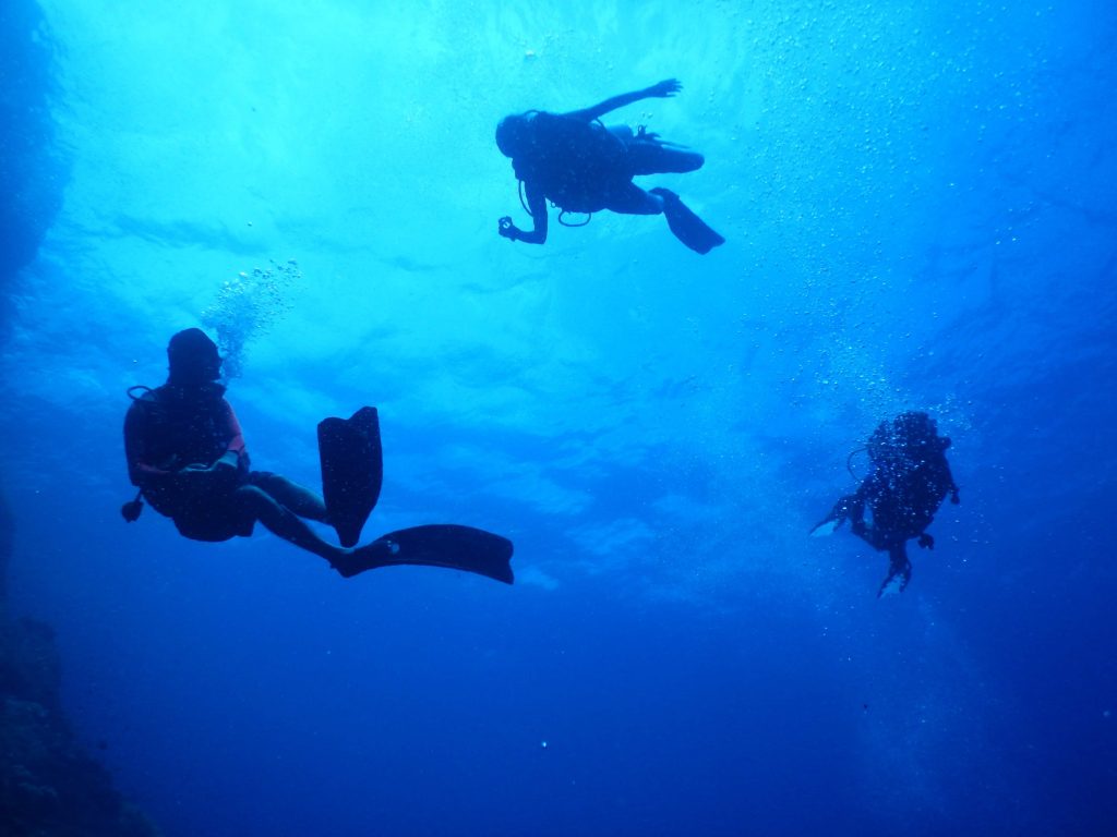 Divers