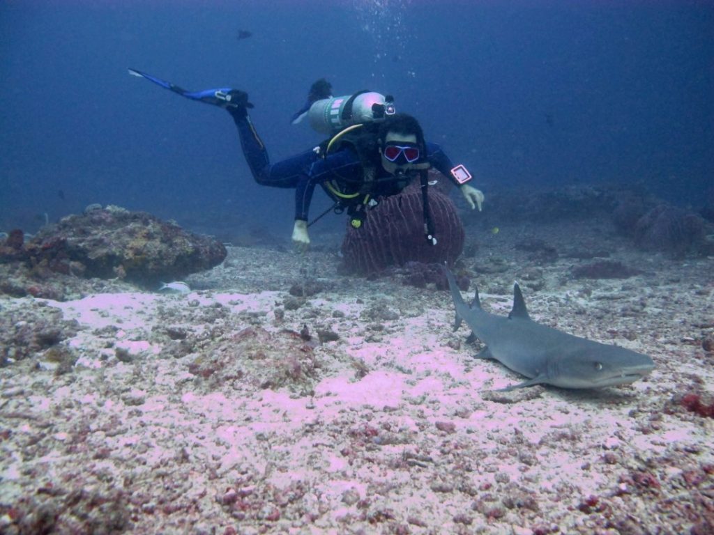 Premium Dive Sites with ScubaLov ; Johnny's Gorge