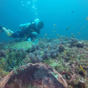 Essential Guide to the Andaman Islands with ScubaLov