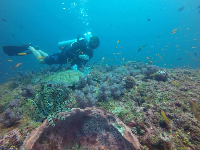 Essential Guide to the Andaman Islands with ScubaLov