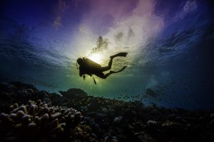 7 Habits of Least Effort while Scuba Diving ; Least Effort Habits while Scuba Diving ; Scuba Diving Habits