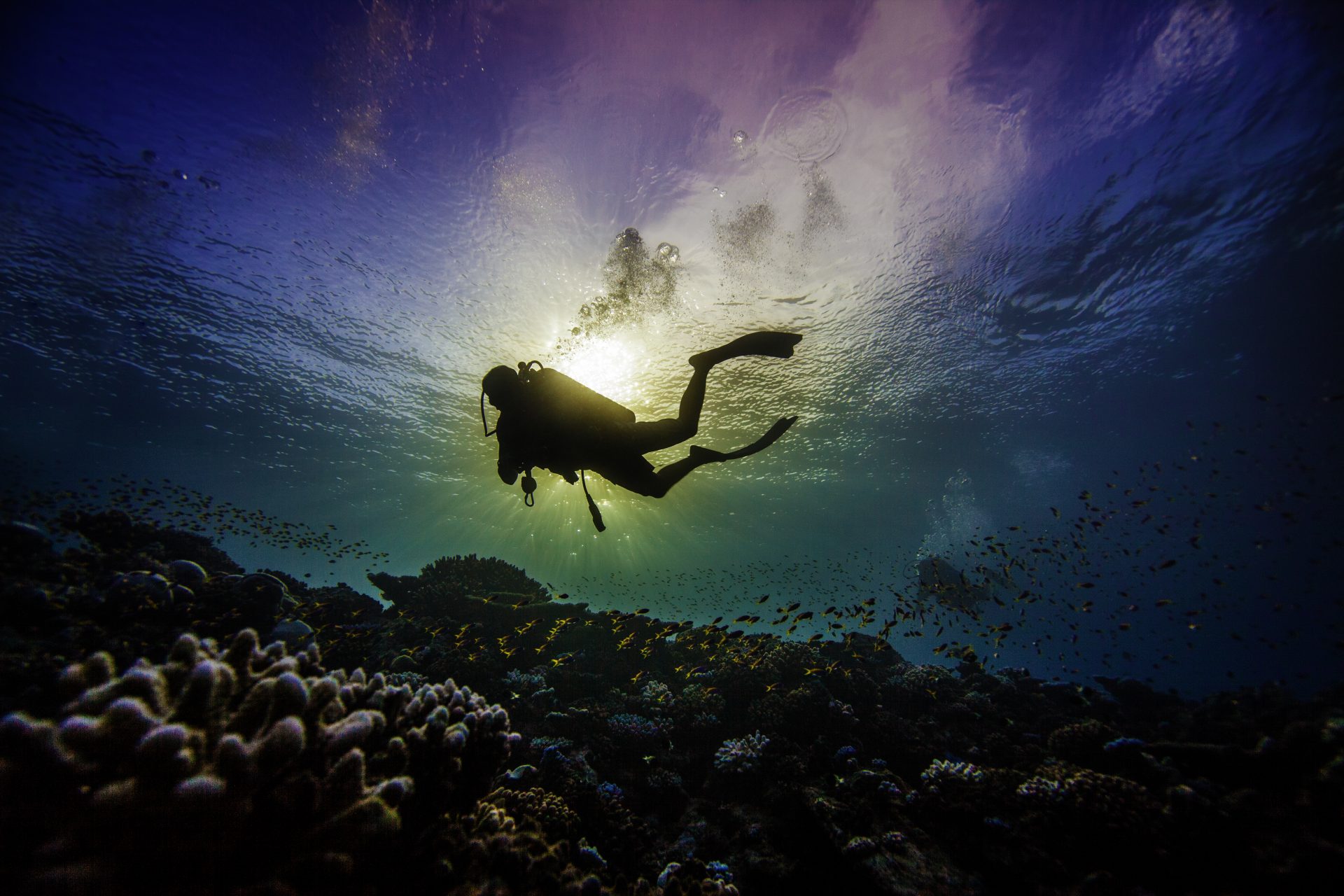 7 Habits of Least Effort while Scuba Diving