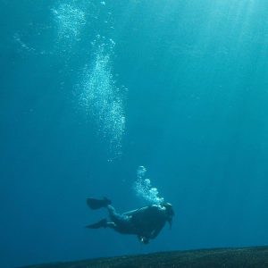 PADI Drift Diver Course with ScubaLov