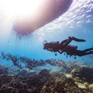 PADI Divemaster Course with ScubaLov