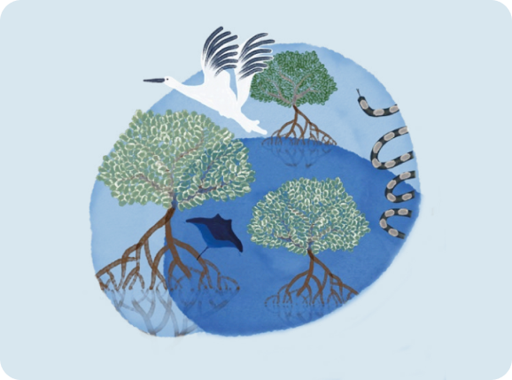 Earthsong's Marine Ecology Courses for Certified Divers