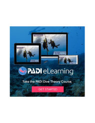ScubaLov has all PADI courses as eLearning option. Browse to the respective course page and click on PADI eLearning