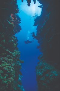 PADI Deep Diver Course with ScubaLov