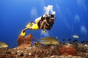 PADI Rescue Diver Course with ScubaLov