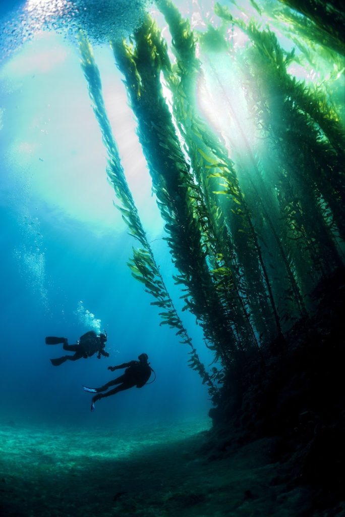PADI Deep Diver Course with ScubaLov