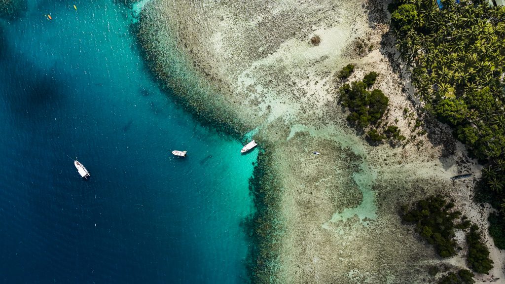ScubaLov and its home reef in Havelock. Best Fun Dives, All Level PADI Certification Courses, Discover Scuba Dives. Check out our Dive Shop in Neil!